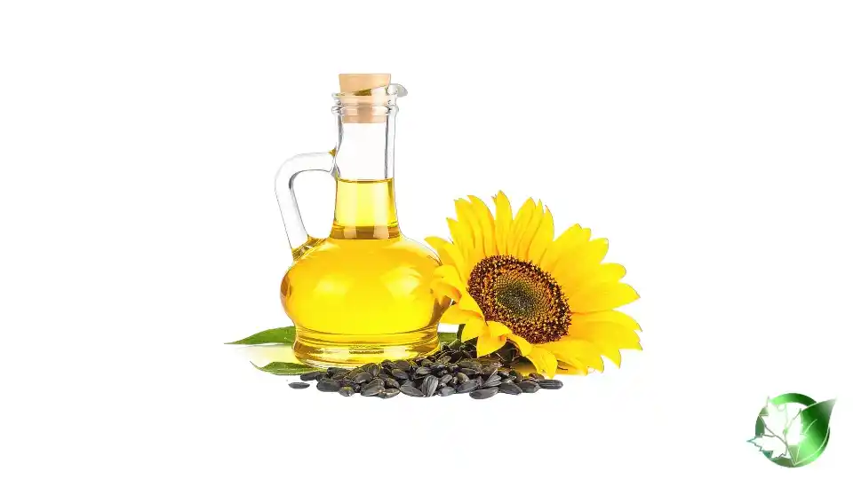 Bulk Sunflower Oil | Suppliers | Wholesale | ParsaFood Global